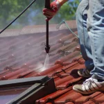 Stop Roof Damage with Regular Algae Roof Cleaning
