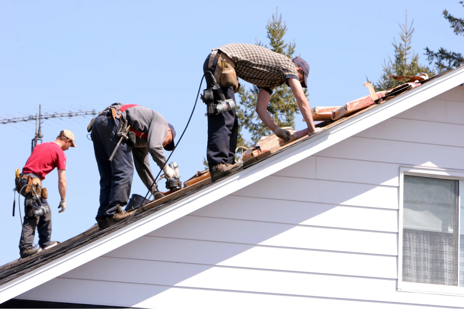 Professional Roofing Services